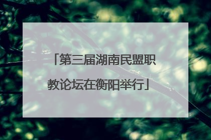第三届湖南民盟职教论坛在衡阳举行