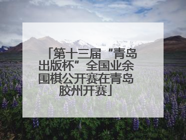 第十三届“青岛出版杯”全国业余围棋公开赛在青岛胶州开赛