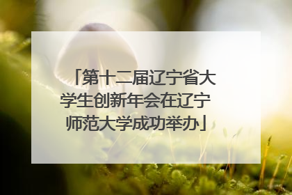 第十二届辽宁省大学生创新年会在辽宁师范大学成功举办