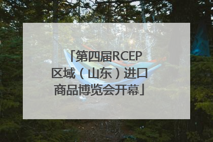 第四届RCEP区域（山东）进口商品博览会开幕