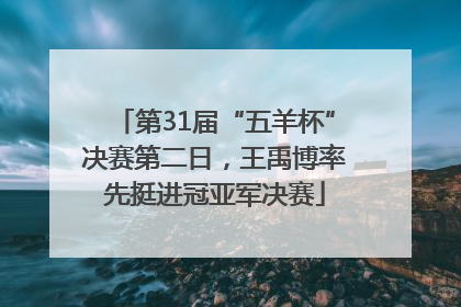 第31届“五羊杯”决赛第二日，王禹博率先挺进冠亚军决赛