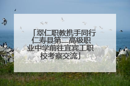 翠仁职教携手同行 仁寿县第二高级职业中学前往宜宾工职校考察交流