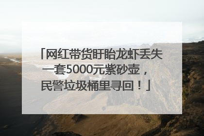 网红带货盱眙龙虾丢失一套5000元紫砂壶，民警垃圾桶里寻回！