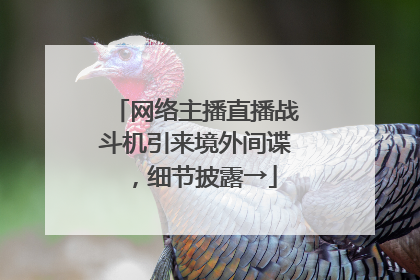 网络主播直播战斗机引来境外间谍，细节披露→