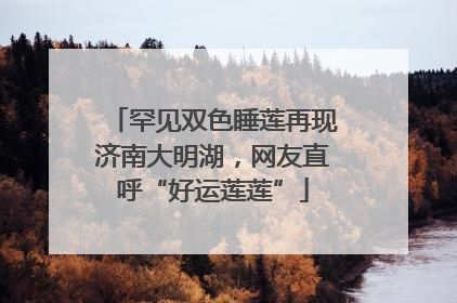 罕见双色睡莲再现济南大明湖，网友直呼“好运莲莲”
