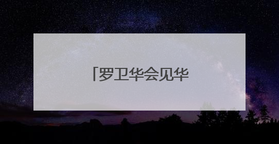 罗卫华会见华为公司客人