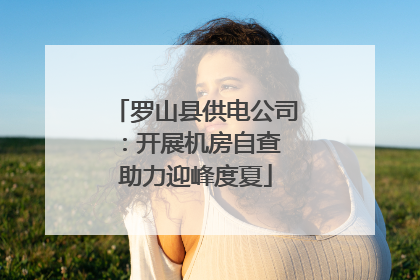 罗山县供电公司：开展机房自查 助力迎峰度夏