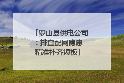 罗山县供电公司：排查配网隐患 精准补齐短板