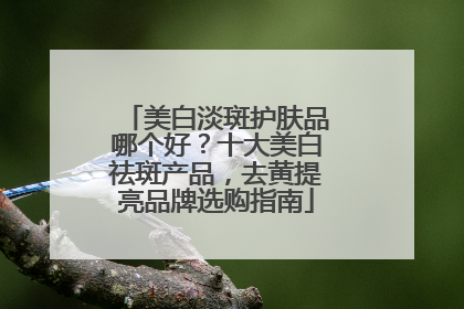美白淡斑护肤品哪个好？十大美白祛斑产品，去黄提亮品牌选购指南