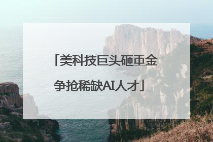 美科技巨头砸重金争抢稀缺AI人才