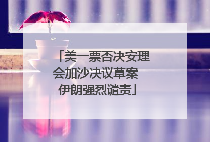 美一票否决安理会加沙决议草案 伊朗强烈谴责