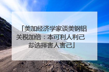 美加经济学家谈美钢铝关税加倍：本可利人利己 却选择害人害己