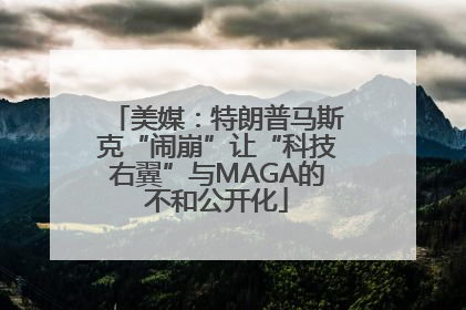 美媒：特朗普马斯克“闹崩”让“科技右翼”与MAGA的不和公开化