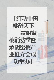 红动中国 桃醉天下——蒙阴蜜桃消费季暨蒙阴蜜桃产业推介会成功举办