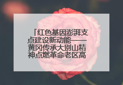 红色基因澎湃支点建设新动能——黄冈传承大别山精神点燃革命老区高质量发展新引擎