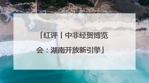 红评丨中非经贸博览会：湖南开放新引擎