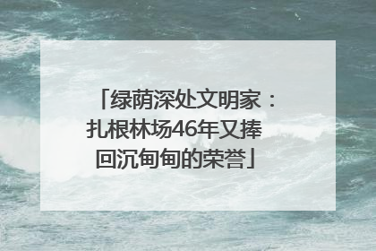 绿荫深处文明家：扎根林场46年又捧回沉甸甸的荣誉