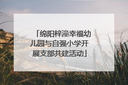 绵阳梓潼幸福幼儿园与自强小学开展支部共建活动