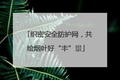 织密安全防护网，共绘烟叶好“丰”景