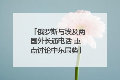 俄罗斯与埃及两国外长通电话 重点讨论中东局势