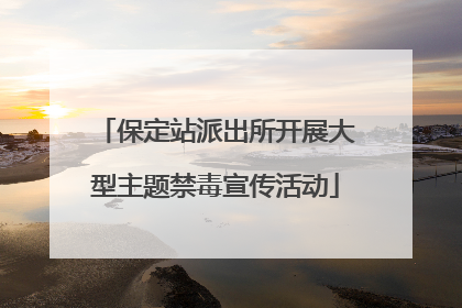 保定站派出所开展大型主题禁毒宣传活动
