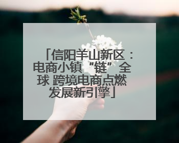 信阳羊山新区：电商小镇“链”全球 跨境电商点燃发展新引擎
