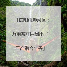 信阳市浉河区：万亩茶庄园飘出“三产融合”香