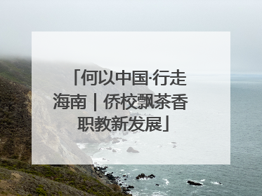何以中国·行走海南｜侨校飘茶香 职教新发展