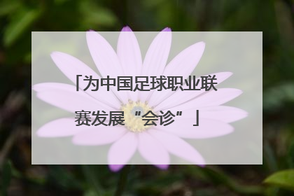 为中国足球职业联赛发展“会诊”