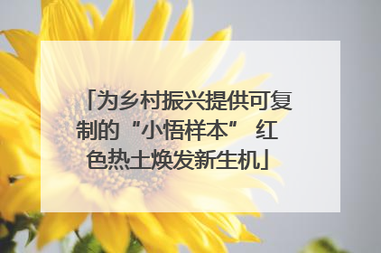 为乡村振兴提供可复制的“小悟样本” 红色热土焕发新生机