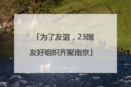 为了友谊，23国友好组织齐聚南京