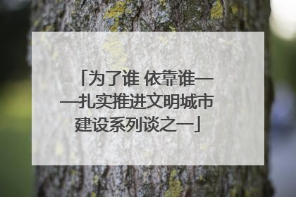 为了谁 依靠谁——扎实推进文明城市建设系列谈之一
