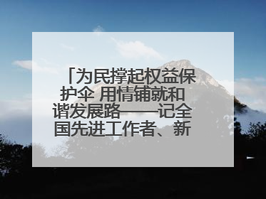 为民撑起权益保护伞 用情铺就和谐发展路——记全国先进工作者、新区项目建设中心干部卢小勇