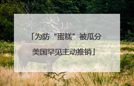 为防“蛋糕”被瓜分 美国罕见主动推销