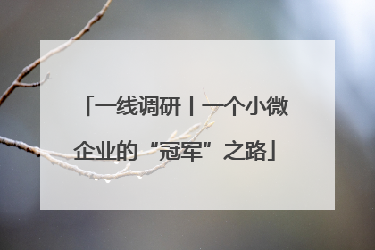 一线调研丨一个小微企业的“冠军”之路