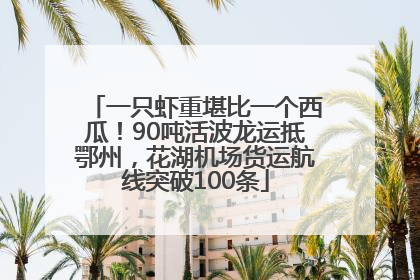 一只虾重堪比一个西瓜！90吨活波龙运抵鄂州，花湖机场货运航线突破100条
