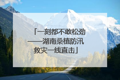 一刻都不敢松劲——湖南桑植防汛救灾一线直击