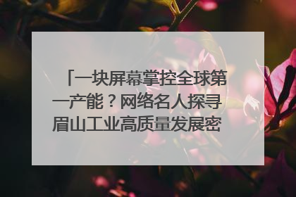 一块屏幕掌控全球第一产能？网络名人探寻眉山工业高质量发展密码｜网络名人四川行
