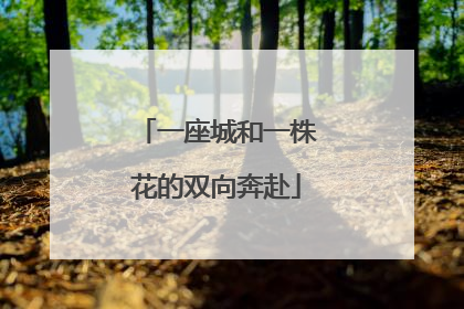 一座城和一株花的双向奔赴