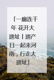 一廊连千年 花开大遗址丨遗产日一起来河南，行走大遗址