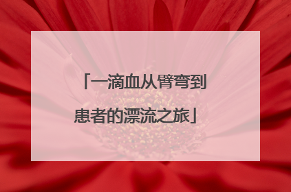 一滴血从臂弯到患者的漂流之旅
