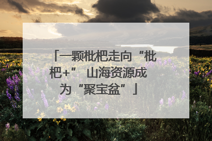一颗枇杷走向“枇杷+” 山海资源成为“聚宝盆”