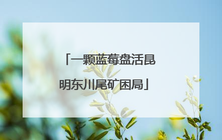 一颗蓝莓盘活昆明东川尾矿困局