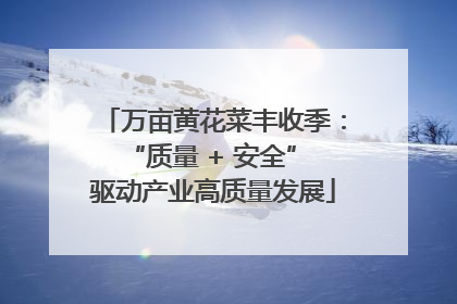 万亩黄花菜丰收季：“质量 + 安全” 驱动产业高质量发展