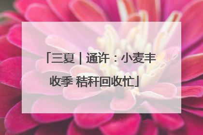 三夏｜通许：小麦丰收季 秸秆回收忙
