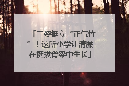 三姿挺立“正气竹”！这所小学让清廉在挺拔脊梁中生长