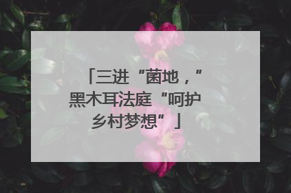 三进“菌地，”黑木耳法庭“呵护乡村梦想”