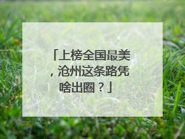 上榜全国最美，沧州这条路凭啥出圈？