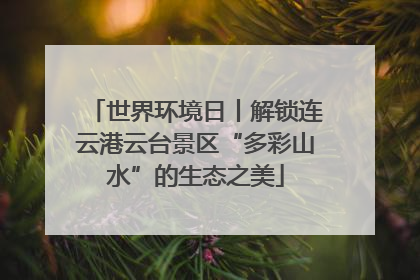 世界环境日丨解锁连云港云台景区“多彩山水”的生态之美