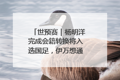 世预赛｜杨明洋完成会籍转换将入选国足，伊万想通了要打双后腰？